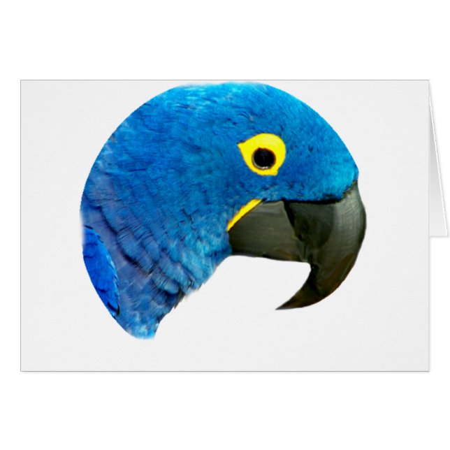 Blauer Papagei der Liebe_ (Vorderseite (Horizontal))