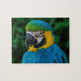 Blauer Papagei Puzzle