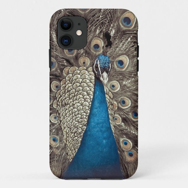 Blauer Pfau Case-Mate iPhone Hülle (Rückseite)