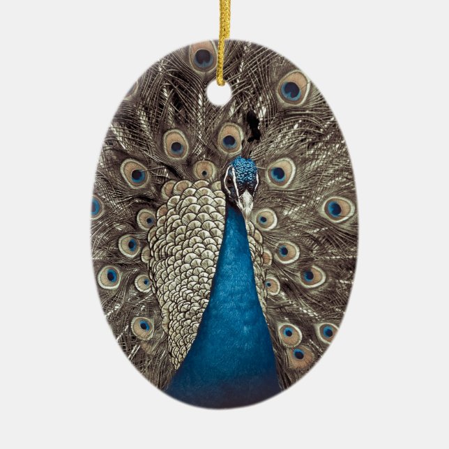 Blauer Pfau Keramik Ornament (Vorne)