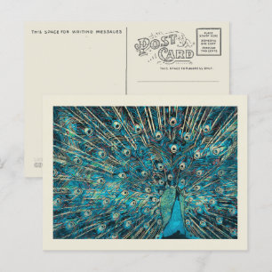 Blauer Pfau mit entfaltetem Schwanz Postkarte