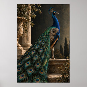 Blauer Pfau mit irisierendem Schwanz in klassische Poster