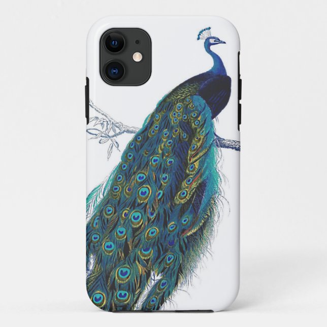 Blauer Pfau mit schönen Schwanzfedern Case-Mate iPhone Hülle (Rückseite)