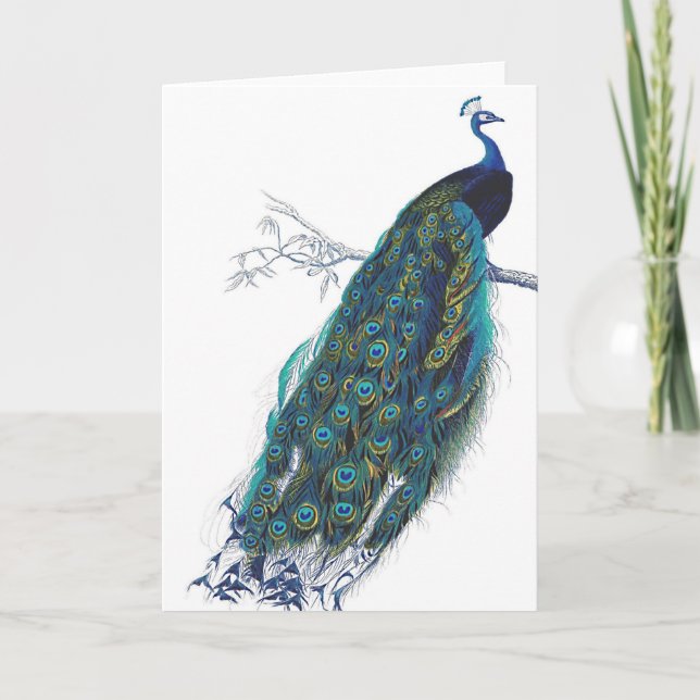 Blauer Pfau mit schönen Schwanzfedern Karte (Vorderseite)