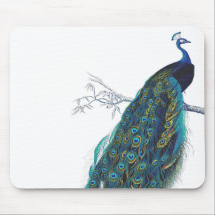 Blauer Pfau mit schönen Schwanzfedern Mousepad