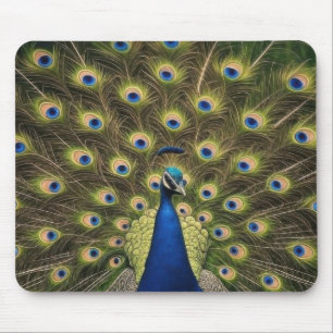 Blauer Pfau Mousepad