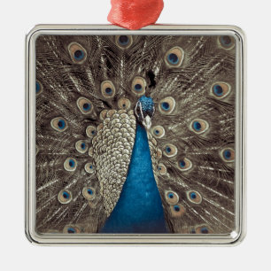 Blauer Pfau Ornament Aus Metall