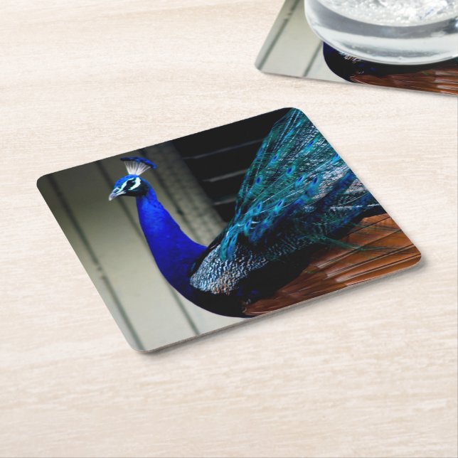 Blauer Pfau Rechteckiger Pappuntersetzer (angewinkelt)