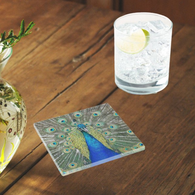 Blauer Pfauenfeder Glasuntersetzer (In Situ Glass)