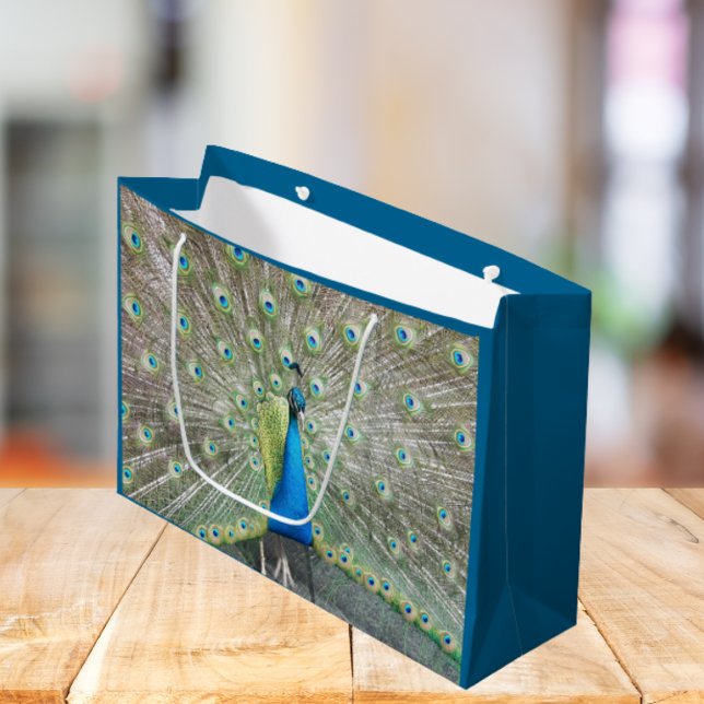 Blauer Pfauenfeder Große Geschenktüte (In Situ)