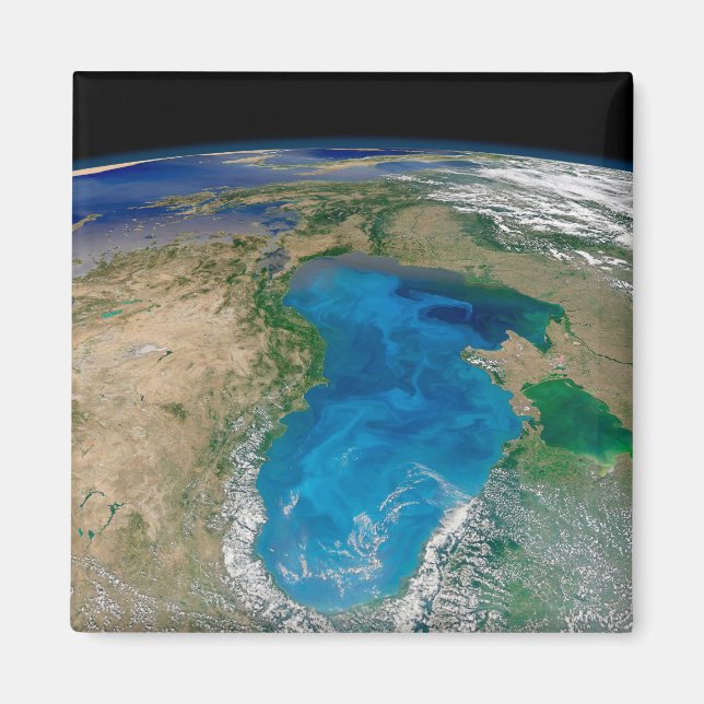 Blauer Phytoplankton blühen im Schwarzen Meer Magnet (Vorne)