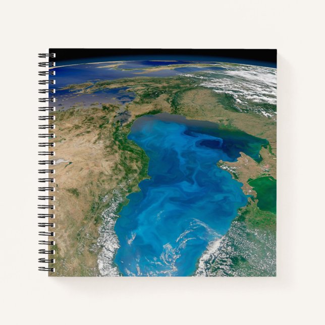 Blauer Phytoplankton blühen im Schwarzen Meer Notizbuch (Vorderseite)