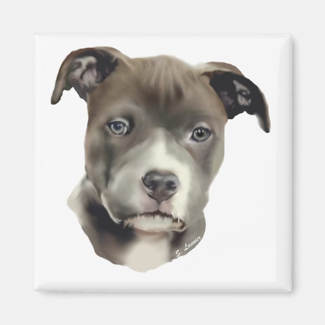 Blauer Pitbull Magnet (Vorne)