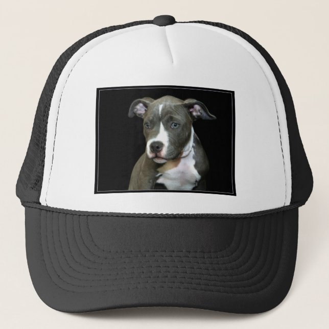 Blauer Pitbull Welpe Truckerkappe (Vorderseite)