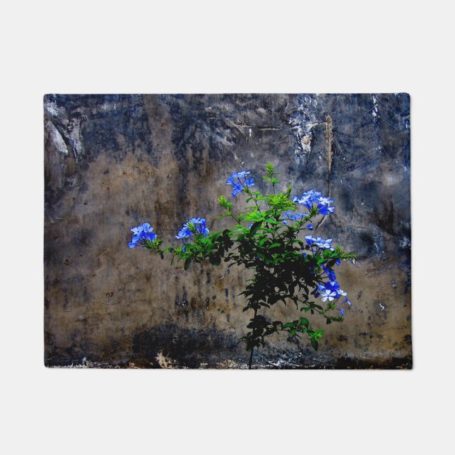 Blauer Plumbago Fußmatte (Vorderseite)