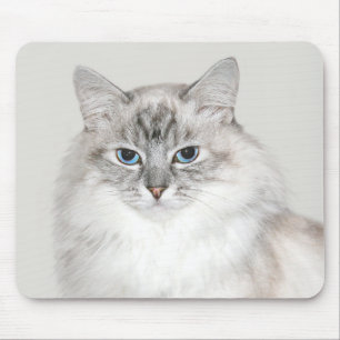 Blauer Punkt Himalaya-Katze Mousepad