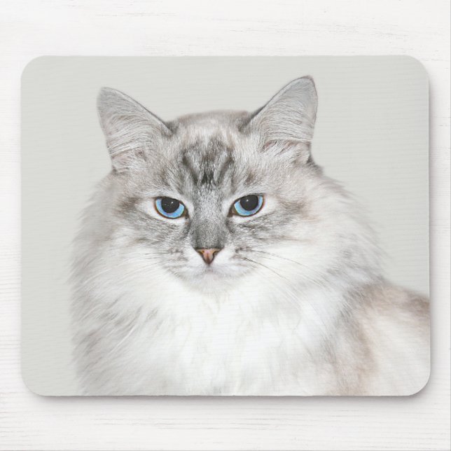 Blauer Punkt Himalaya-Katze Mousepad (Vorne)