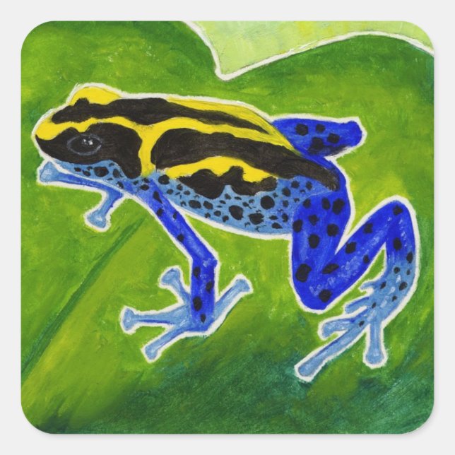 Blauer Regenwaldfrosch Quadratischer Aufkleber (Vorderseite)