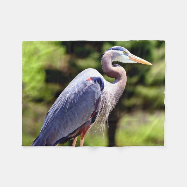 Blauer Reiher 1 Fleecedecke (Vorderseite (Horizontal))