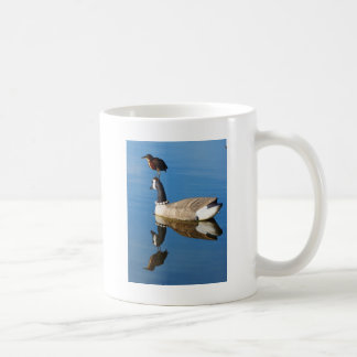 Blauer Reiher auf Enten-Lockvogel durch Tasse