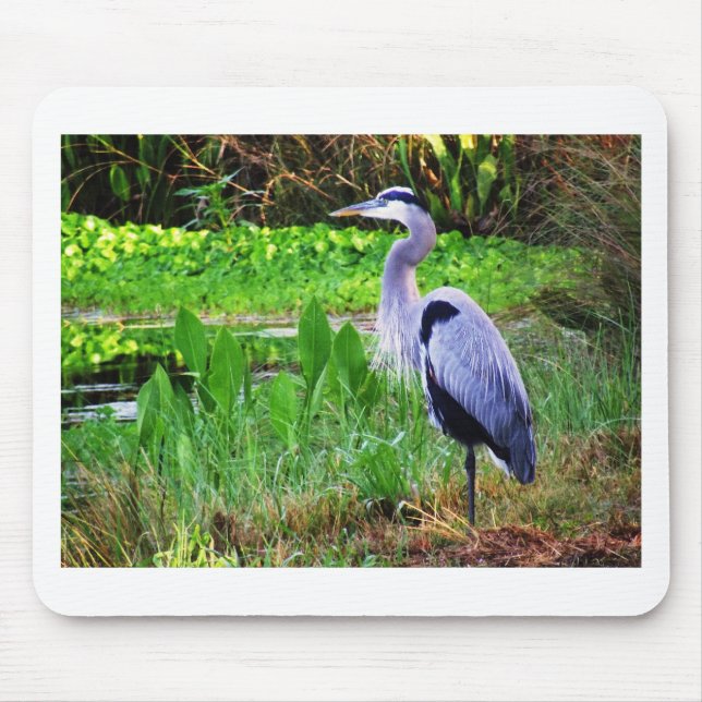 Blauer Reiher Mousepad (Vorne)