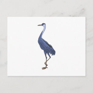 blauer Reiher Vogel Postkarte