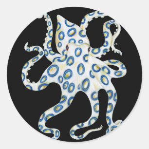 Blauer Ring Octopus Schwarze Tentakeln Runder Aufkleber