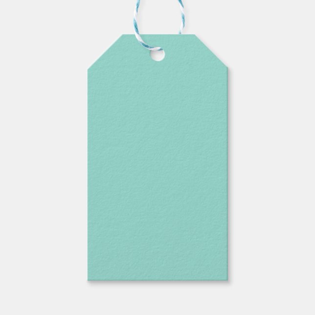 Blauer Robin Egg Blue Solid Color Geschenkanhänger (Vorderseite)