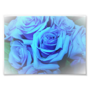 Blauer Rosen-Foto-Druck Fotodruck