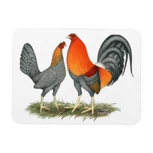 Blauer Roter Gamefowl Magnet