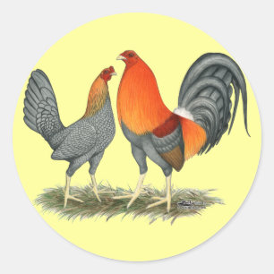 Blauer Roter Gamefowl Runder Aufkleber