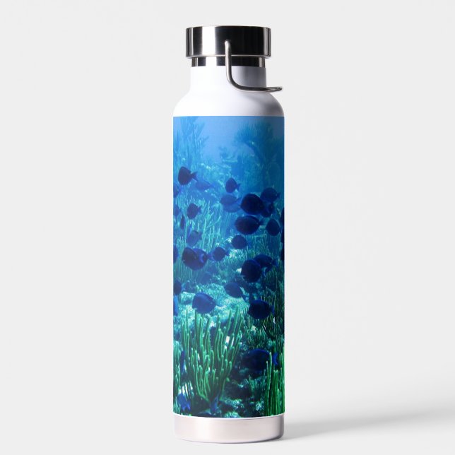 Blauer Schleim des Fotos Trinkflasche (Links)
