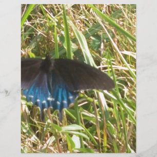 Blauer Schmetterling