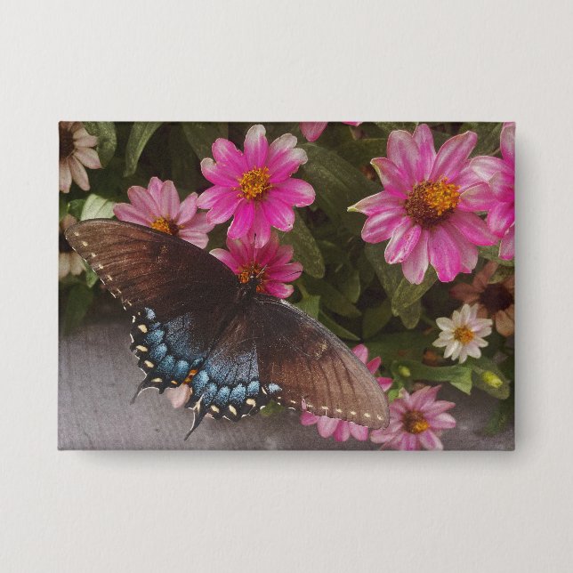 blauer Schmetterling  Button (Vorderseite)