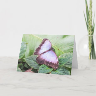 Blauer Schmetterling Feiertagskarte