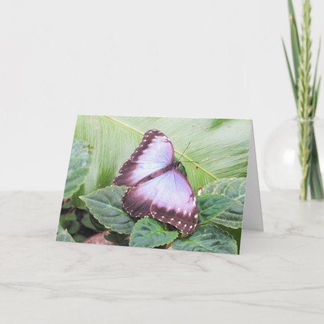 Blauer Schmetterling Feiertagskarte (Vorderseite)
