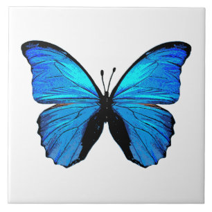 Blauer Schmetterling Fliese