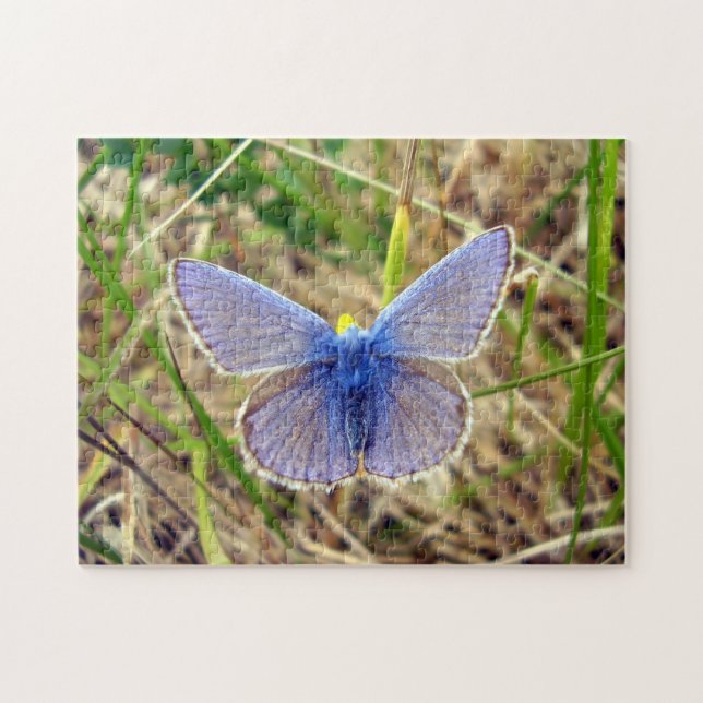 Blauer Schmetterling Foto Puzzle mit Geschenkboxen (Horizontal)