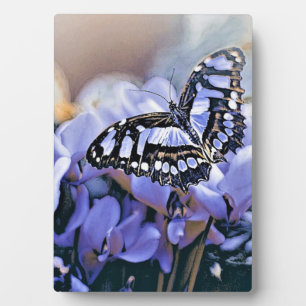 Blauer Schmetterling Fotoplatte