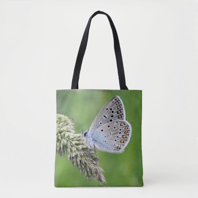 Blauer Schmetterling im Gras (Vorderseite)