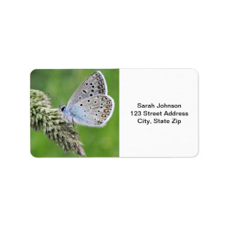 Blauer Schmetterling im Gras Adressaufkleber