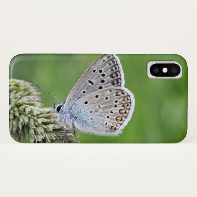 Blauer Schmetterling im Gras Case-Mate iPhone Hülle (Rückseite (Horizontal))