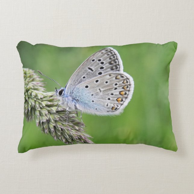 Blauer Schmetterling im Gras Dekokissen (Vorderseite)