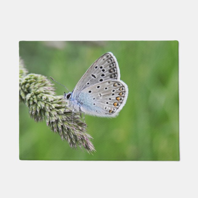 Blauer Schmetterling im Gras Fußmatte (Vorderseite)