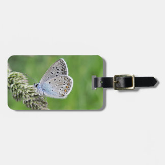 Blauer Schmetterling im Gras Gepäckanhänger