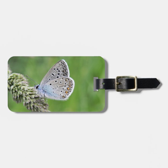 Blauer Schmetterling im Gras Gepäckanhänger (Vorderseite horizontal)