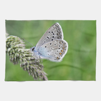Blauer Schmetterling im Gras Geschirrtuch