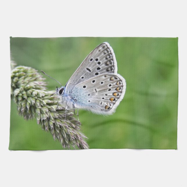 Blauer Schmetterling im Gras Geschirrtuch (Horizontal)