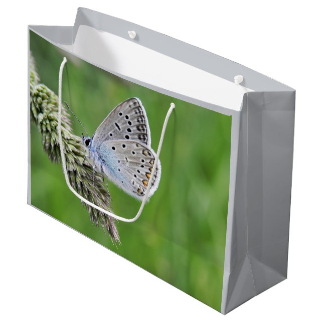 Blauer Schmetterling im Gras Große Geschenktüte (Vorderseite Schrägansicht)