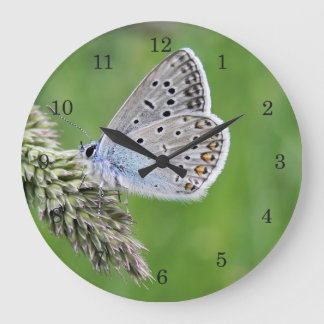 Blauer Schmetterling im Gras Große Wanduhr